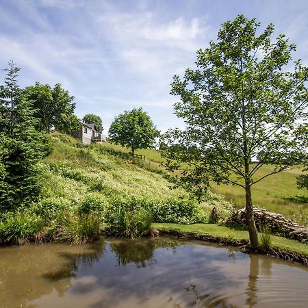 Black Mountain View Llanafan-fawr Bagian luar foto